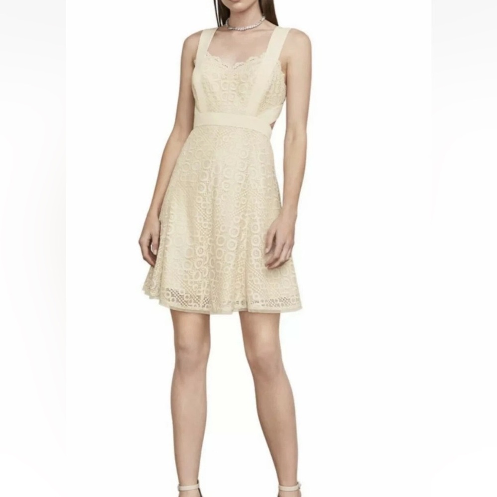 NWT BCBG Maxazria Alena Dress Beige Metallic Silver Lace Sleeveless Open Back 4